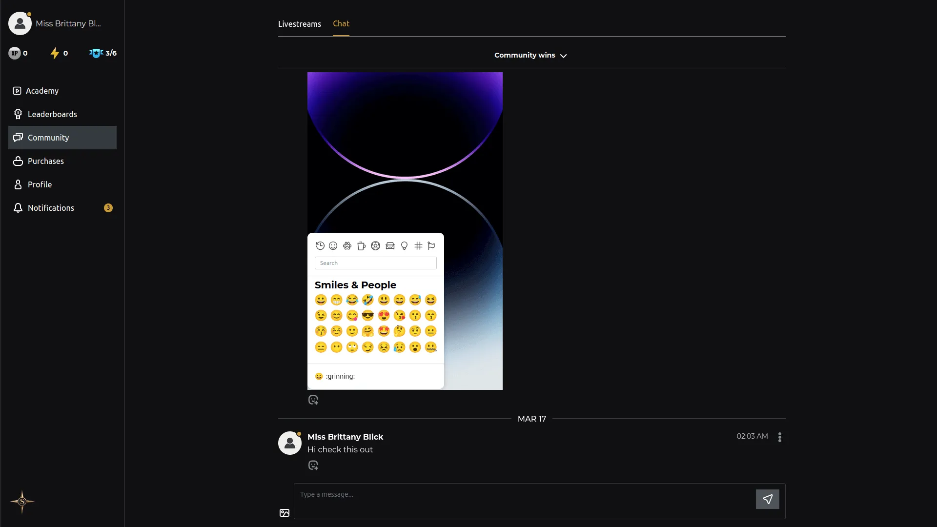 project screenshot