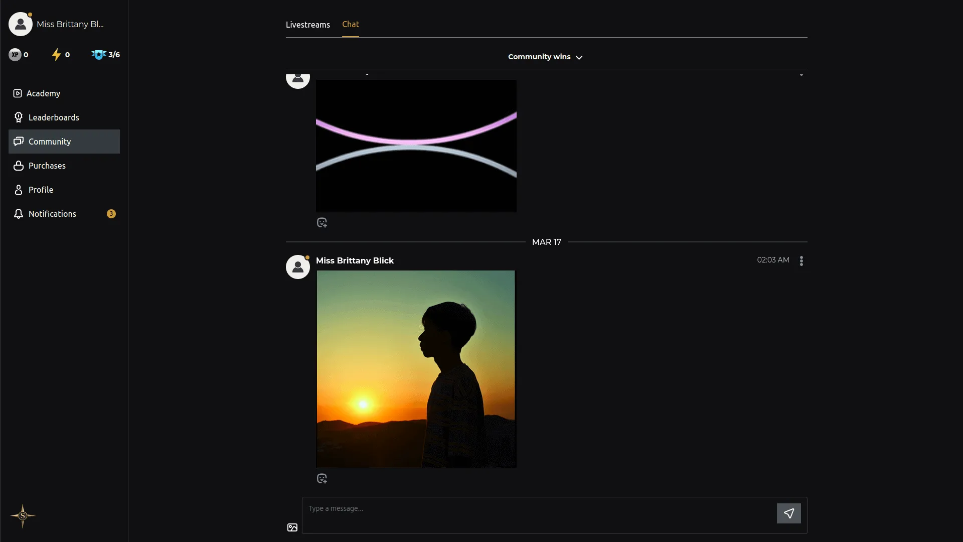 project screenshot