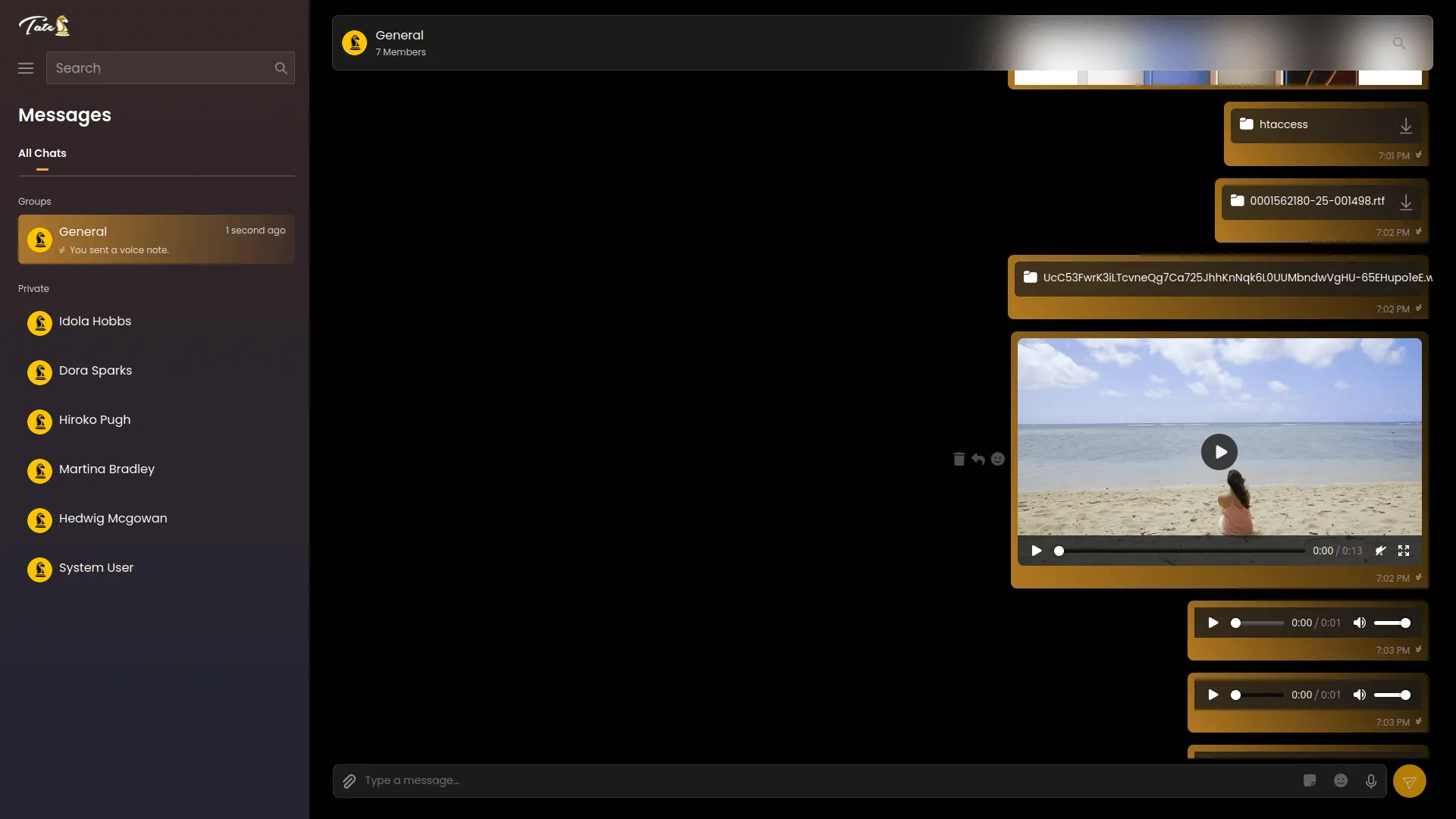 project screenshot