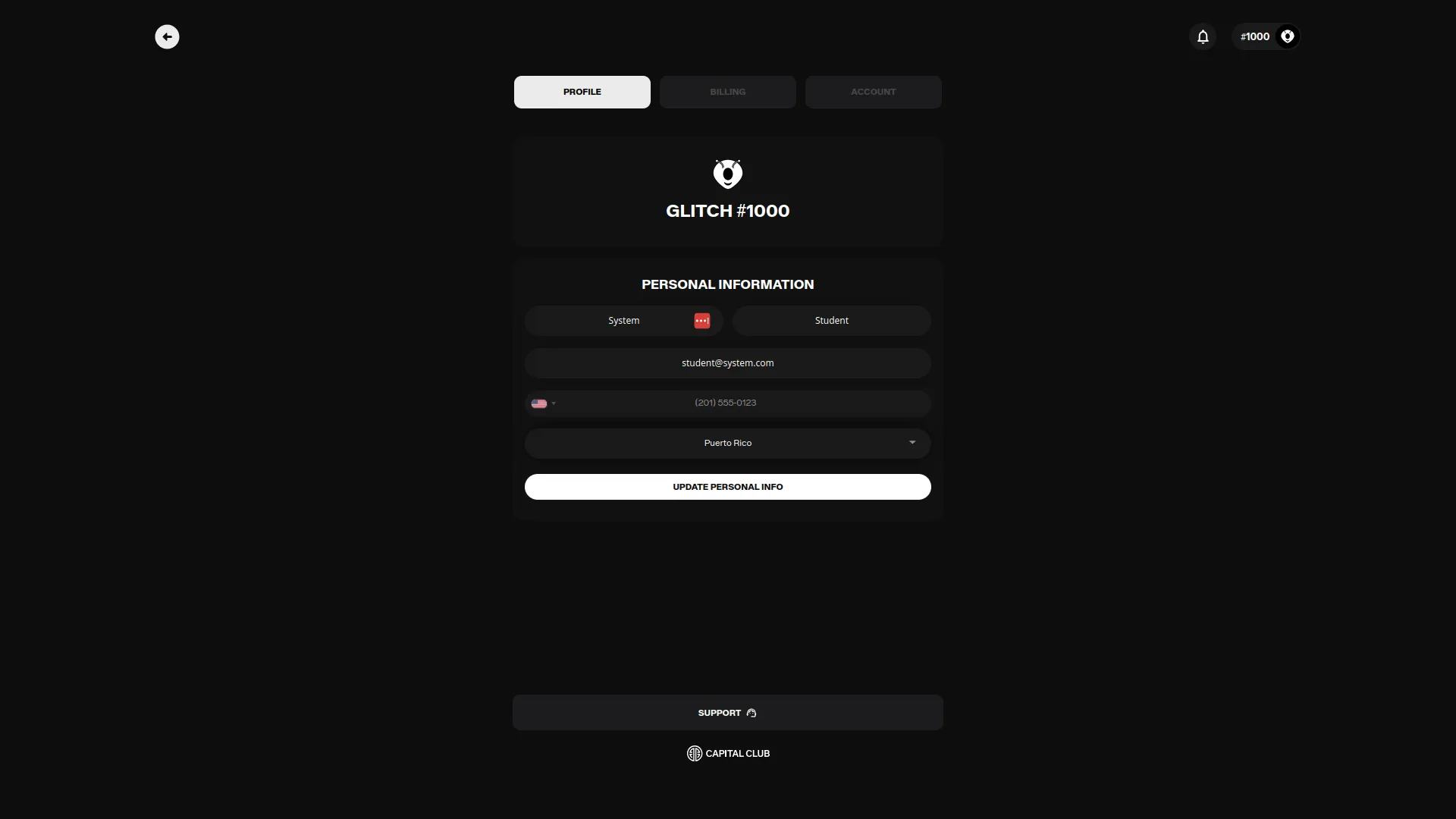 project screenshot