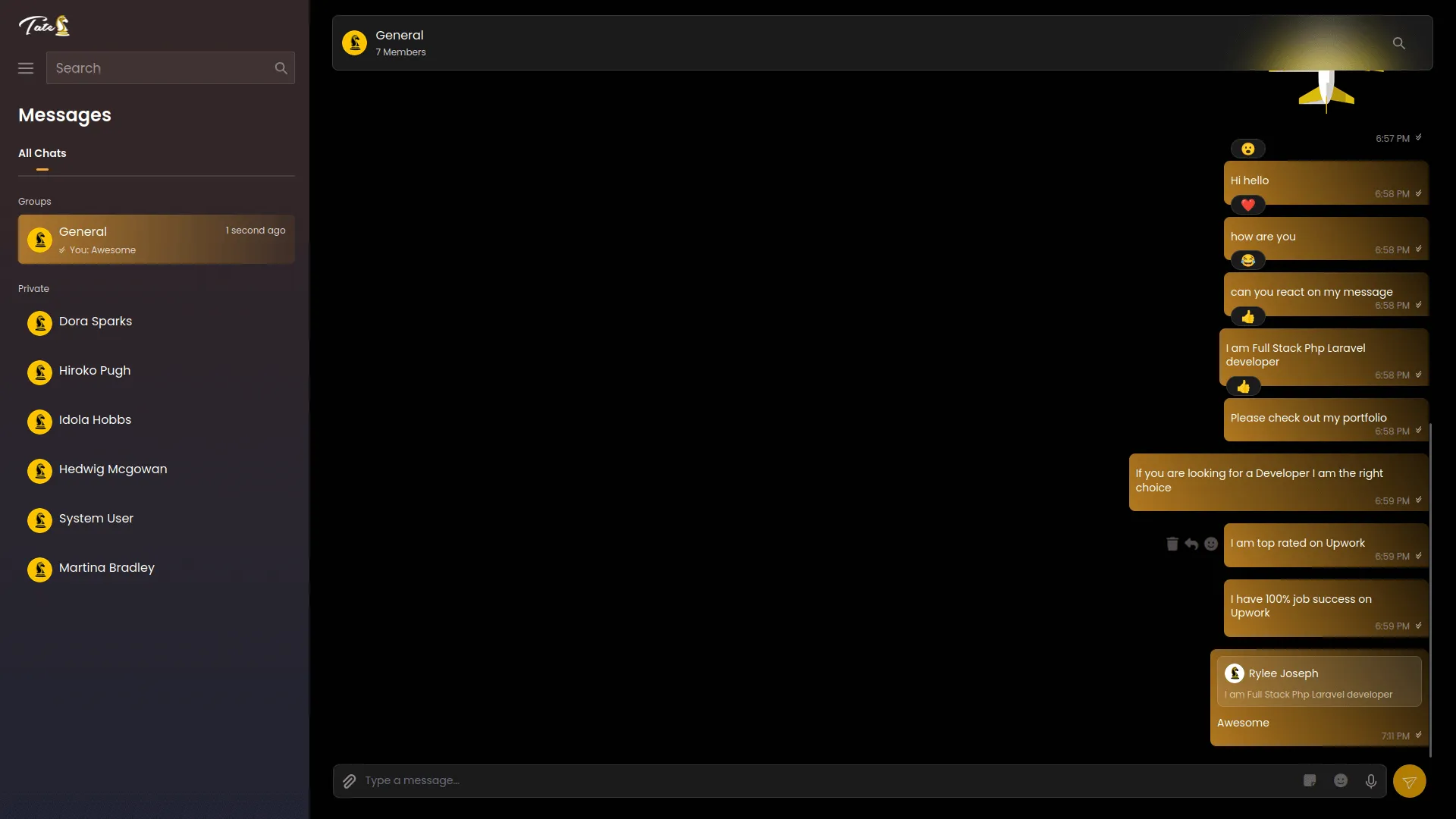 project screenshot