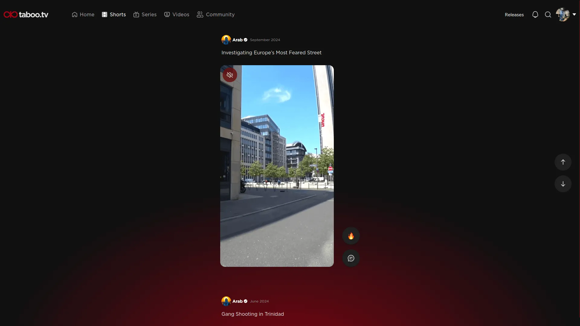 project screenshot