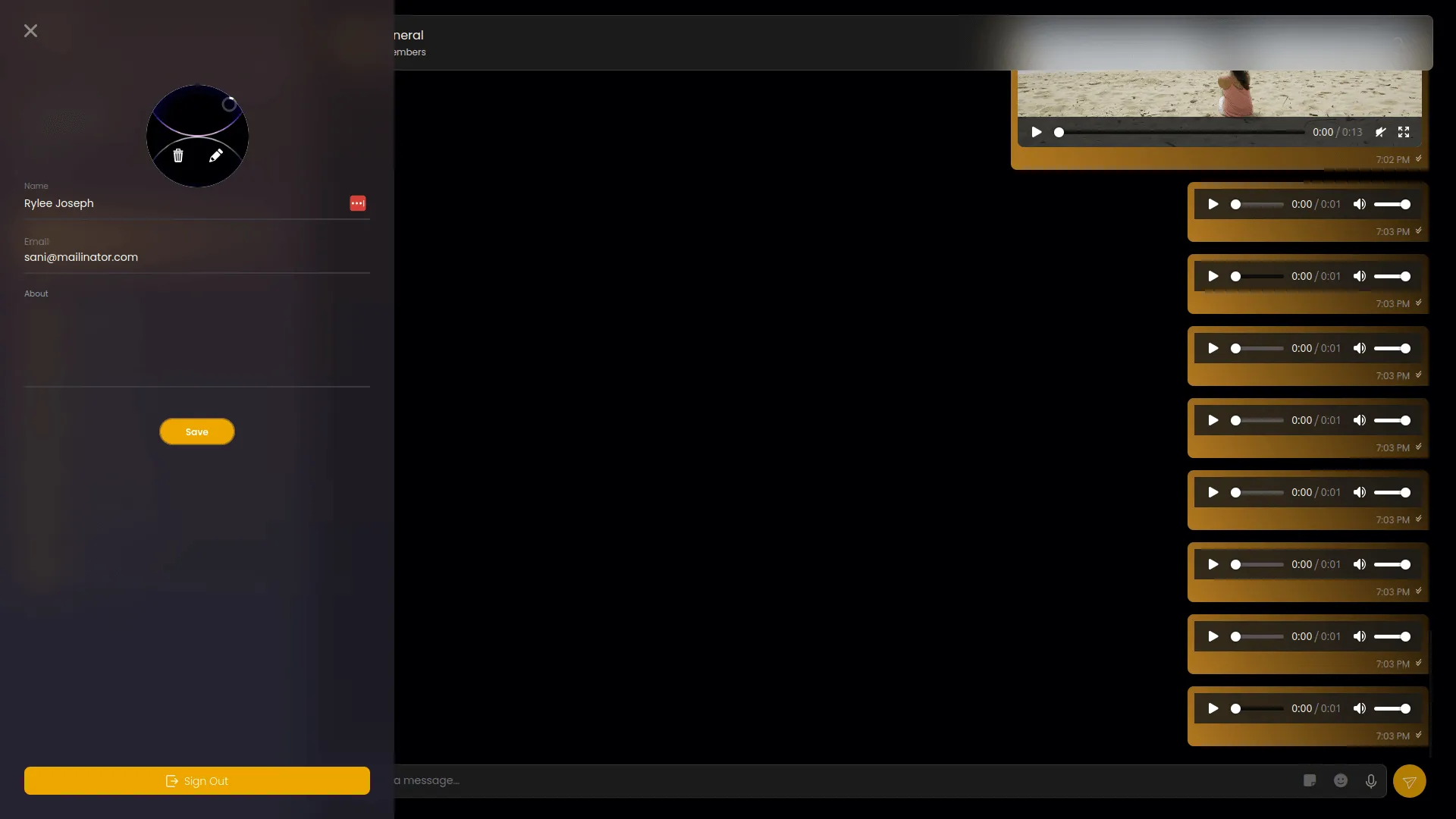 project screenshot